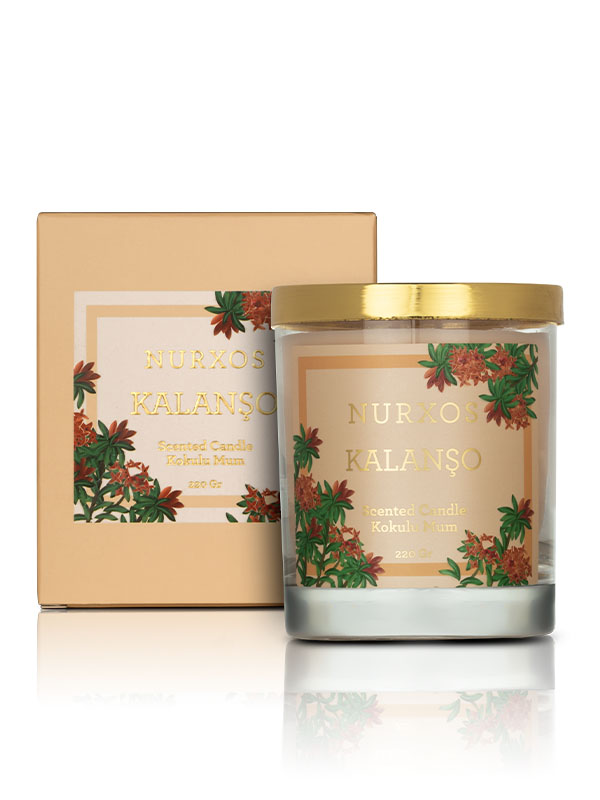9658-Kalanchoe-Scented-Candle-1.jpg