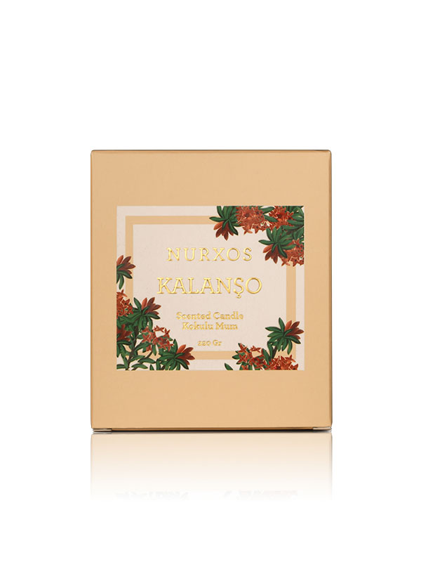 9658-Kalanchoe-Scented-Candle-2.jpg